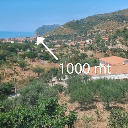 Tenuta Marga Agnone Cilento Exterior foto