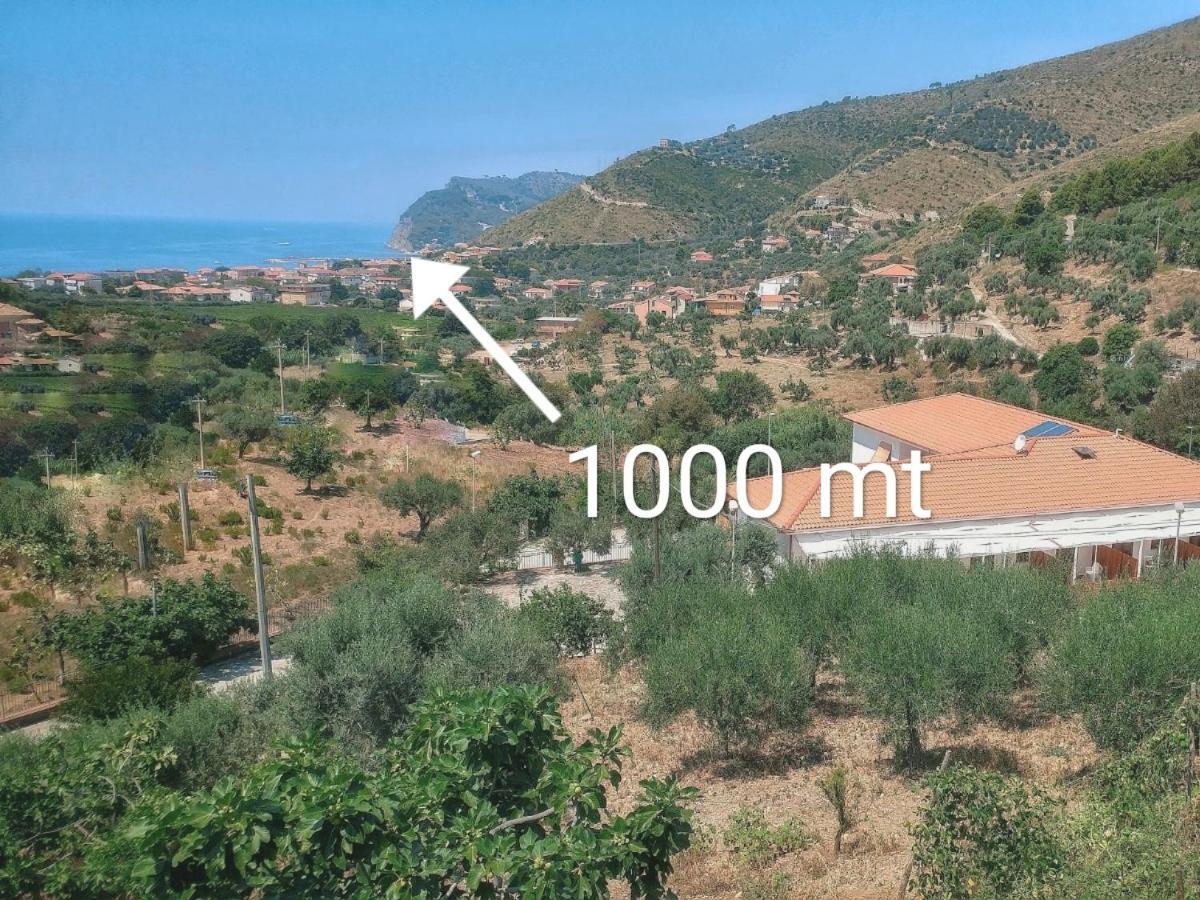 Tenuta Marga Agnone Cilento Exterior foto