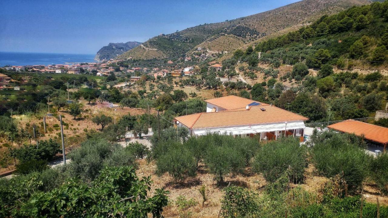 Tenuta Marga Agnone Cilento Exterior foto